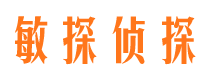 天等私家调查公司